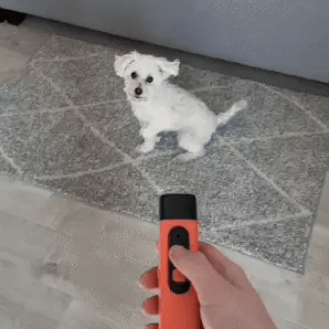 LydLyn | Ferma l'abbaiare del cane con un solo clic