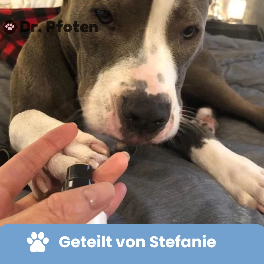 ClawGrinder™ Pro Set - Cura degli artigli per cani senza stress