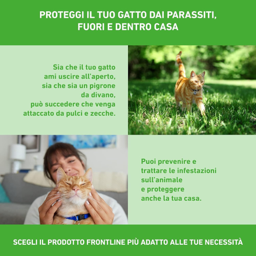 Trattamento Antiparassitario per Gatti – Confezione da 6 Pipette