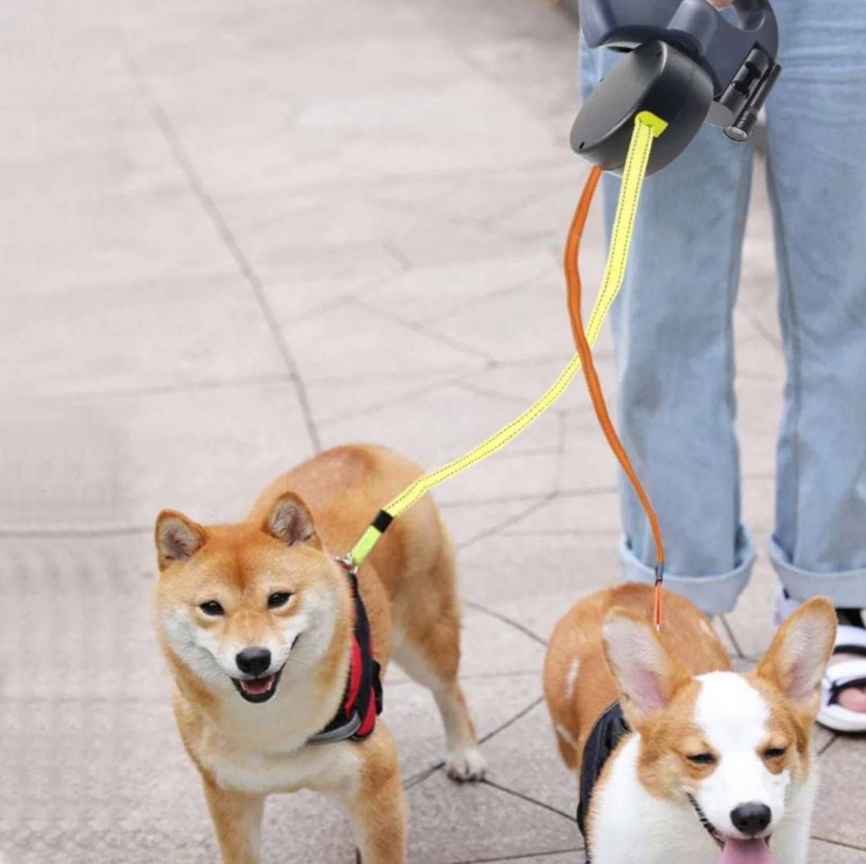 DuoLeash™ – Guinzaglio per cani 2 in 1 con luce
