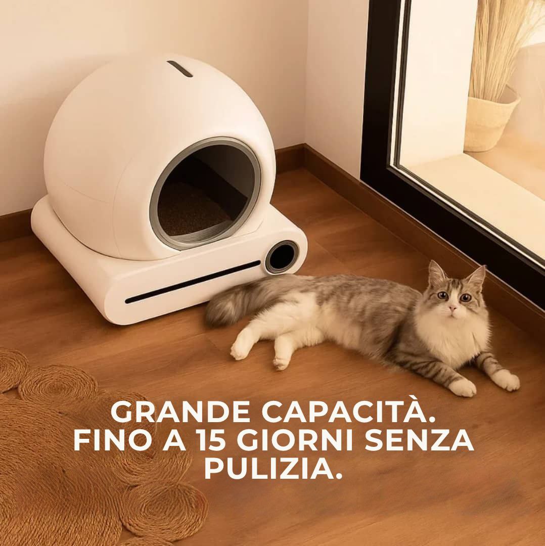 Lona - La sabbiera intelligente che si pulisce da sola