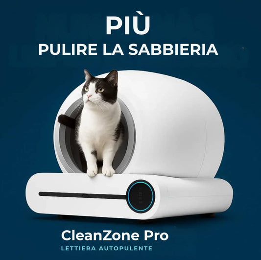 Lona - La sabbiera intelligente che si pulisce da sola