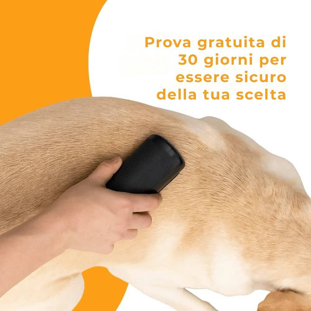 Spazzola per cani