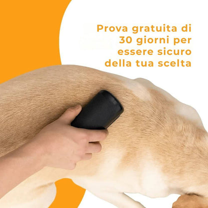 Spazzola per cani