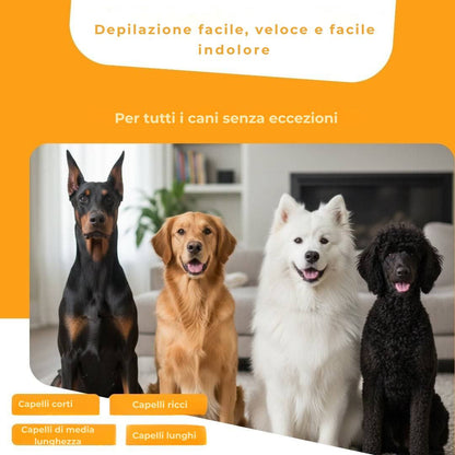 Spazzola per cani