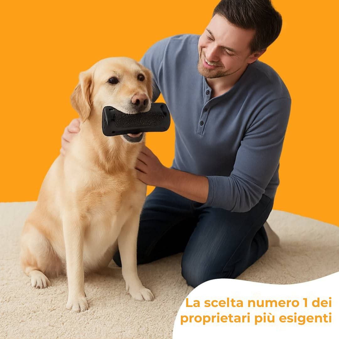 Spazzola per cani
